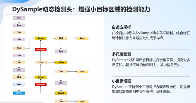 优秀毕设——基于YOLO的医学影像骨折检测和诊断系统的设计与实现